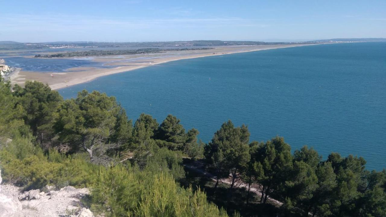 Villa Mas De La Riviere Villelongue-de-la-Salanque Exterior foto